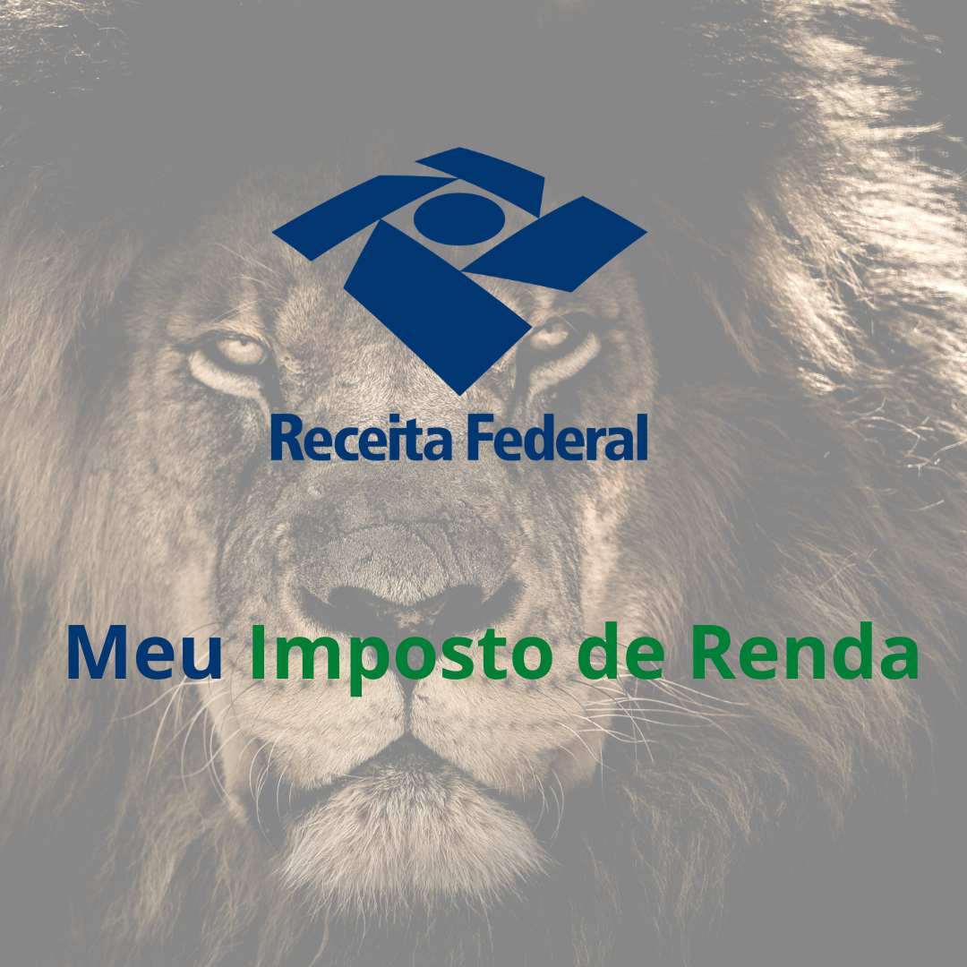 Você Já Pode Preparar Os Documentos Para A Declaração De IRPF 2023 ...