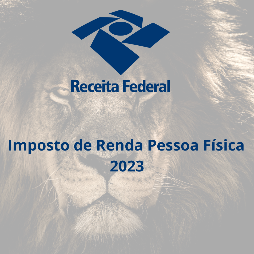 Principais Mudanças Para IRPF 2023: - Rocha Consulte